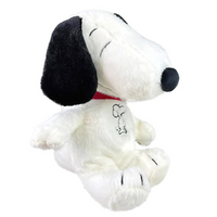 Pupito